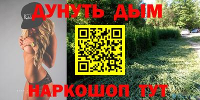 Альфа ПВП Малгобек