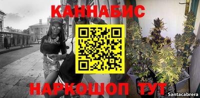 Альфа ПВП Малгобек