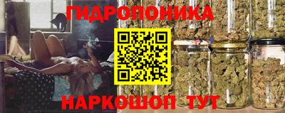 СК Лесосибирск
