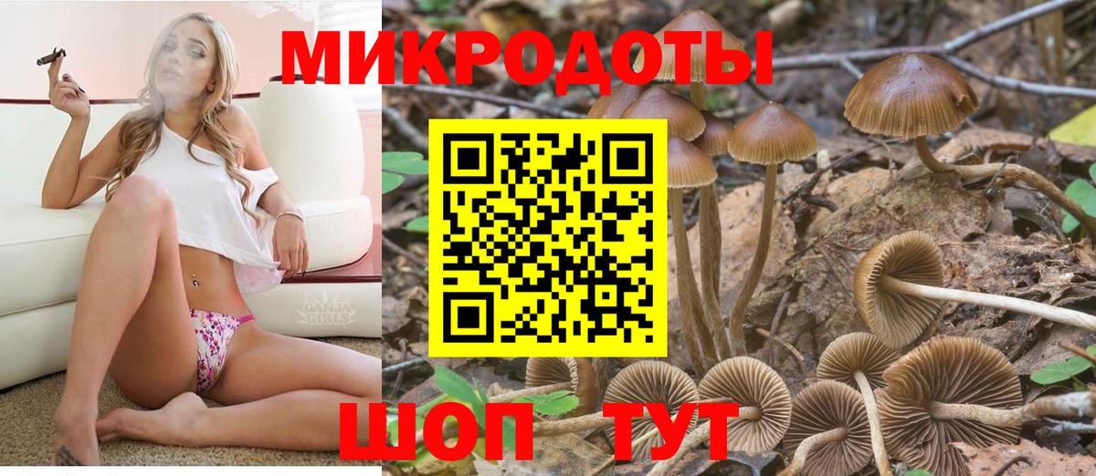Псилоцибиновые грибы Magic Shrooms Чехов