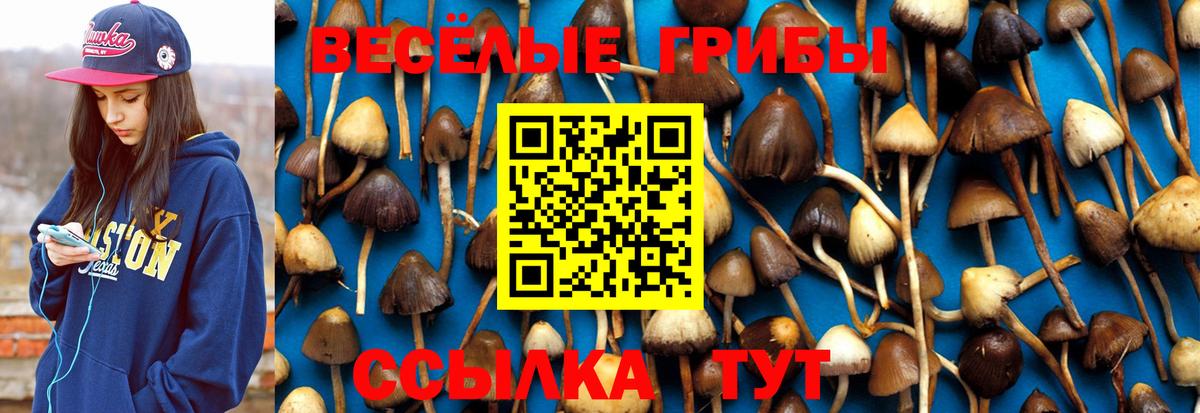 Псилоцибиновые грибы ЛСД  Вход с VPN  Чехов 